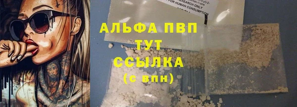 сатива Елизово