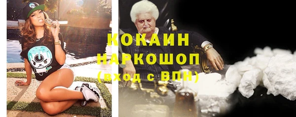 сатива Елизово
