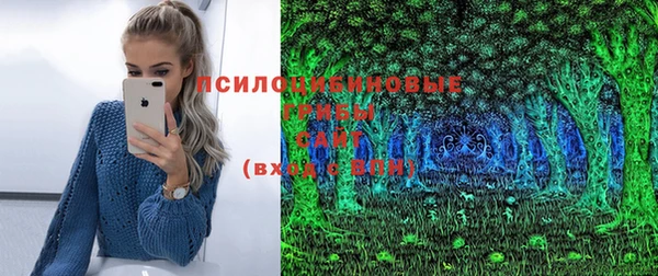 2c-b Ельня