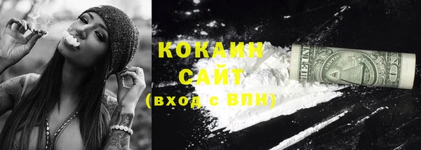 2c-b Ельня
