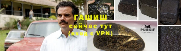 2c-b Ельня