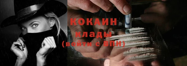 сатива Елизово