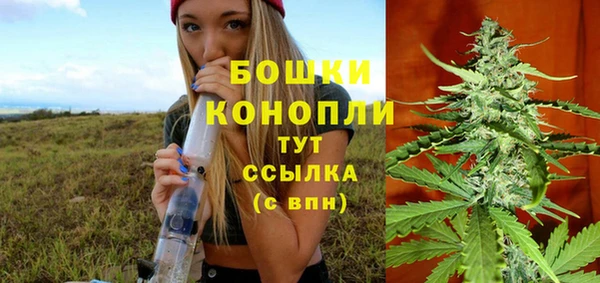 сатива Елизово