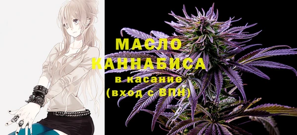 2c-b Ельня