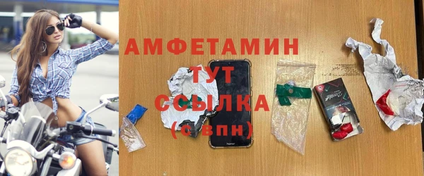 2c-b Ельня