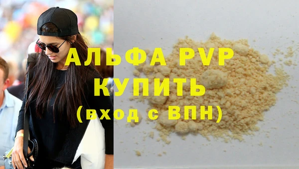 сатива Елизово
